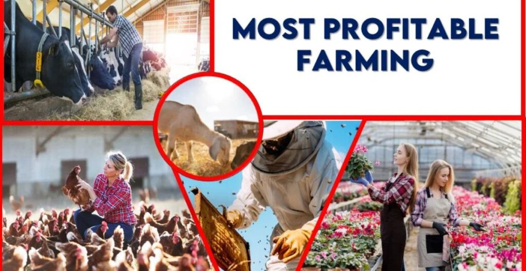 Kam Lagat Me Zyada Munafa Wali Kheti 2025 India: लाखों कमाने का आसान तरीका