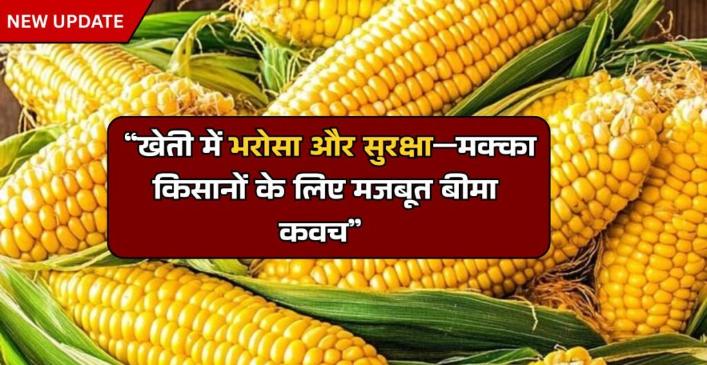 Maize Farming Insurance Claim 2025 India: मक्का किसानों के लिए बीमा दावा की पूरी जानकारी