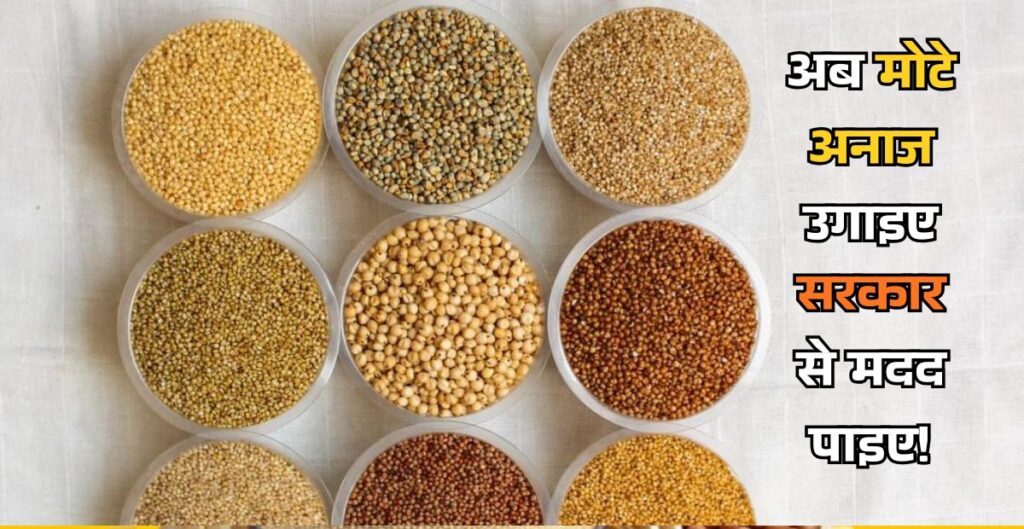Millet Farming Govt Scheme 2026: किसानों के लिए सुनहरा मौका, जानिए पूरी डिटेल