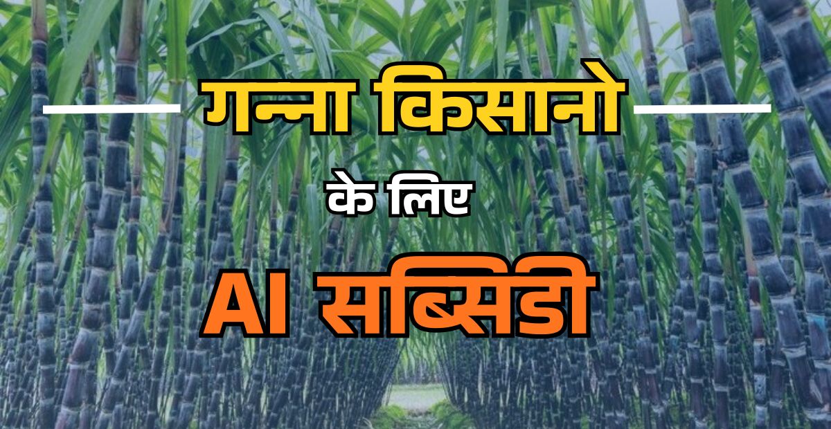 Sugarcane Subsidy Scheme For Farmers 2025 India: गन्ना किसानों के लिए सरकारी सहायता की पूरी जानकारी