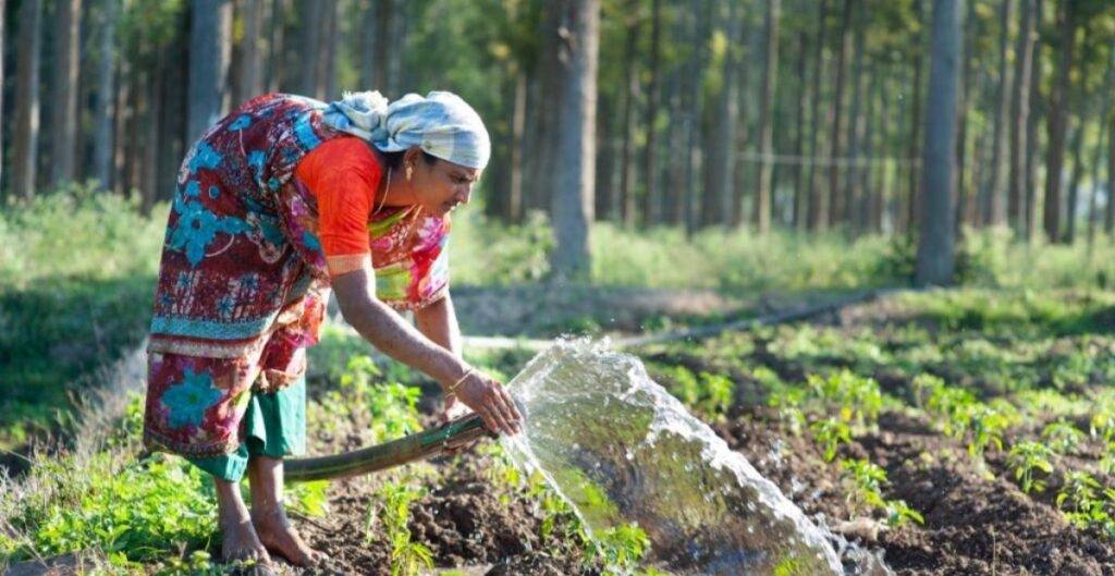 Zero Budget Natural Farming Scheme 2026 India: प्रकृति के साथ खेती का नया तरीका